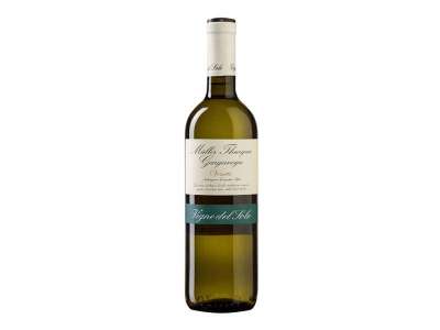 vin-muller-thurgau-vigne-sol-11,5